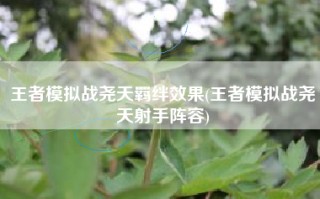 王者模拟战尧天羁绊效果(王者模拟战尧天射手阵容)