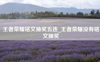 王者荣耀铭文抽奖五连_王者荣耀没有铭文抽奖