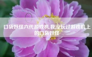 口袋妖怪六代游戏机,我没玩过游戏机上的口袋妖怪