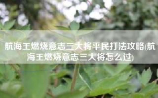 航海王燃烧意志三大将平民打法攻略(航海王燃烧意志三大将怎么过)
