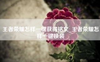 王者荣耀怎样一键获得铭文_王者荣耀怎样一键换装