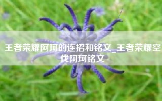 王者荣耀阿珂的连招和铭文_王者荣耀空伐阿珂铭文