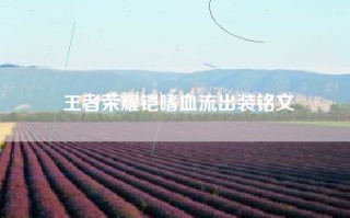 王者荣耀铠嗜血流出装铭文