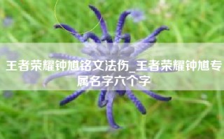 王者荣耀钟馗铭文法伤_王者荣耀钟馗专属名字六个字