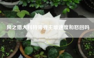 风之猎人科特需要主堆速度和怒回吗