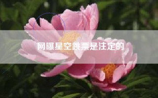 网曝星空跳票是注定的