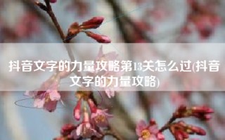 抖音文字的力量攻略第13关怎么过(抖音文字的力量攻略)
