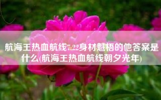 航海王热血航线7.22身材魁梧的他答案是什么(航海王热血航线朝夕光年)