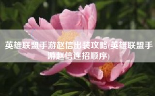 英雄联盟手游赵信出装攻略(英雄联盟手游赵信连招顺序)