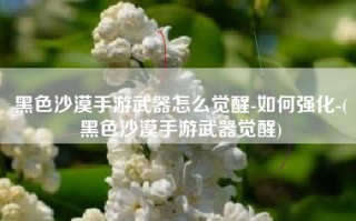 黑色沙漠手游武器怎么觉醒-如何强化-(黑色沙漠手游武器觉醒)