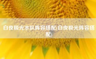 白夜极光水队阵容搭配(白夜极光阵容搭配)