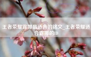 王者荣耀露娜最适合的铭文_王者荣耀适合露娜的ID