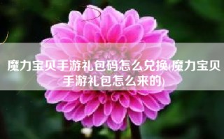 魔力宝贝手游礼包码怎么兑换(魔力宝贝手游礼包怎么来的)