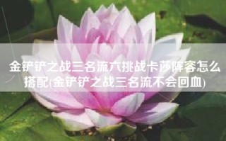 金铲铲之战三名流六挑战卡莎阵容怎么搭配(金铲铲之战三名流不会回血)