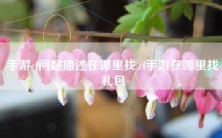 手游cf问题描述在哪里找,cf手游在哪里找礼包