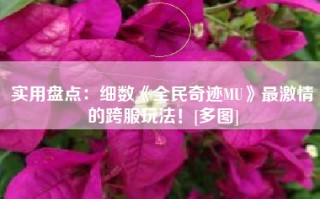 实用盘点：细数《全民奇迹MU》最激情的跨服玩法！[多图]