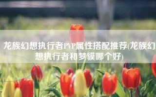 龙族幻想执行者PVP属性搭配推荐(龙族幻想执行者和梦貘哪个好)