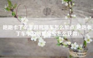 跑跑卡丁车手游熊猫车怎么加点(跑跑卡丁车手游熊猫宝宝怎么获得)