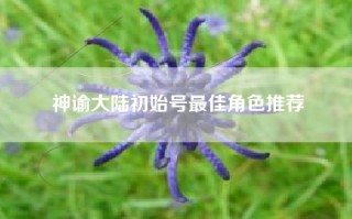 神谕大陆初始号最佳角色推荐