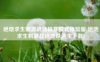 绝地求生刺激战场极寒模式体验服(绝地求生刺激战场地铁逃生下载)