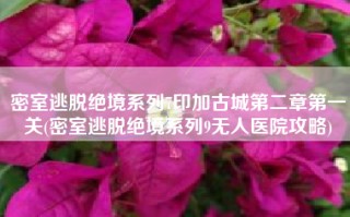 密室逃脱绝境系列7印加古城第二章第一关(密室逃脱绝境系列9无人医院攻略)