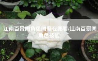 江南百景图角色图鉴在哪看(江南百景图角色技能)