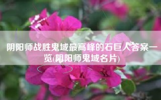 阴阳师战胜鬼域最高峰的石巨人答案一览(阴阳师鬼域名片)