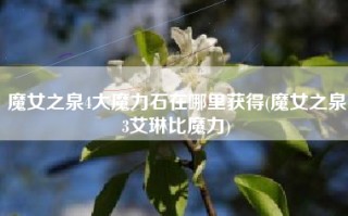 魔女之泉4大魔力石在哪里获得(魔女之泉3艾琳比魔力)