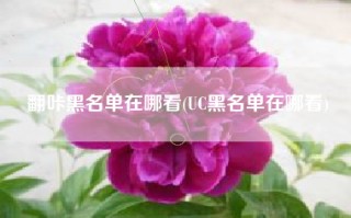 翻咔黑名单在哪看(UC黑名单在哪看)