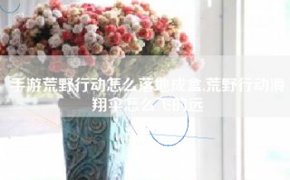 手游荒野行动怎么落地成盒,荒野行动滑翔伞怎么飞的远