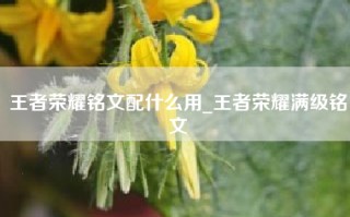 王者荣耀铭文配什么用_王者荣耀满级铭文