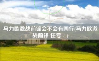 马力欧激战前锋会不会有国行(马力欧激战前锋 任亏劵)