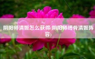 阴阳师清姬怎么获得(阴阳师缚骨清姬阵容)