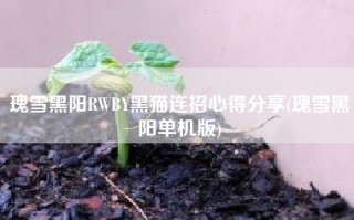 瑰雪黑阳RWBY黑猫连招心得分享(瑰雪黑阳单机版)