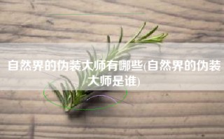 自然界的伪装大师有哪些(自然界的伪装大师是谁)
