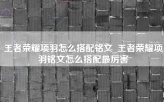 王者荣耀项羽怎么搭配铭文_王者荣耀项羽铭文怎么搭配最厉害