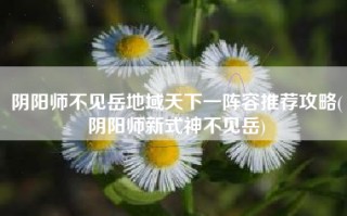 阴阳师不见岳地域天下一阵容推荐攻略(阴阳师新式神不见岳)