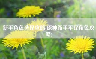 新手角色选择攻略(原神新手平民角色攻略)