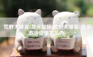 荒野大镖客2显示鼠标(荒野大镖客2显示激活错误怎么办)
