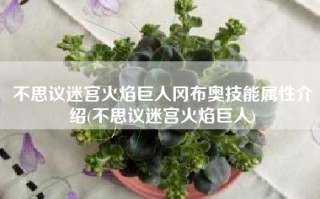 不思议迷宫火焰巨人冈布奥技能属性介绍(不思议迷宫火焰巨人)