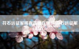 符石远征军稀有英雄在哪抓(符石远征军修改)