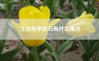 上古纷争赵云有什么缘分