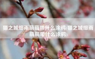猫之城细雨萌萌带什么涂鸦(猫之城细雨萌萌带什么涂鸦)