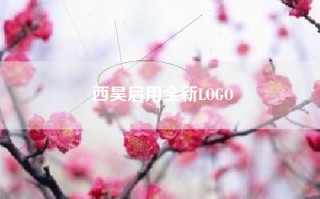 西昊启用全新LOGO