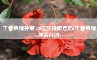 王者荣耀孙策520皮肤是限定吗(王者荣耀孙策台词)