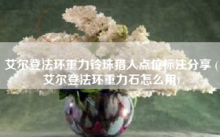 艾尔登法环重力铃珠猎人点位标注分享 (艾尔登法环重力石怎么用)