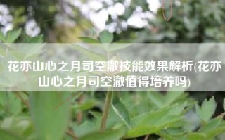 花亦山心之月司空澈技能效果解析(花亦山心之月司空澈值得培养吗)