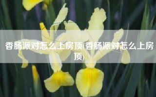 香肠派对怎么上房顶(香肠派对怎么上房顶)