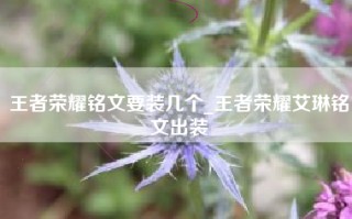 王者荣耀铭文要装几个_王者荣耀艾琳铭文出装
