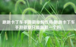 跑跑卡丁车手游徽章的作用(跑跑卡丁车手游徽章只能佩戴一个吗)